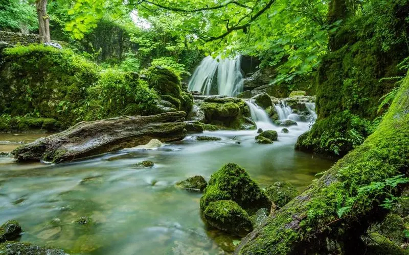 全自动科技高端